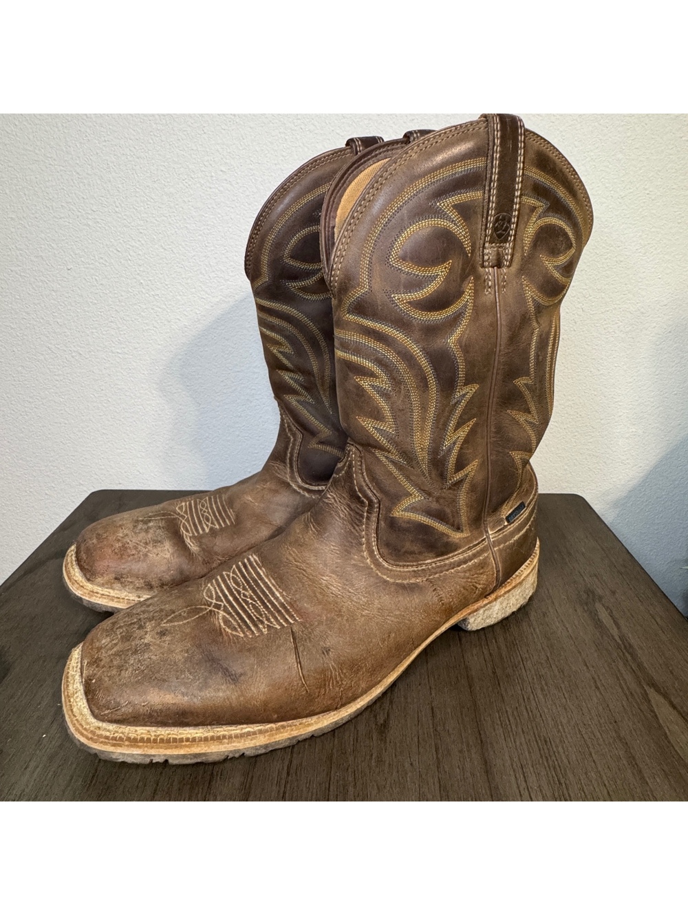 Ariat Boots 14D